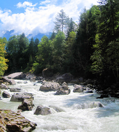 the wild spirits of nature a wild river flowing down a mountain path